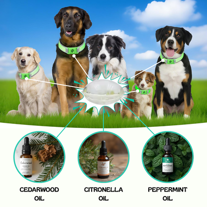 SafePaws™ Flea & Tick Protection Pendant