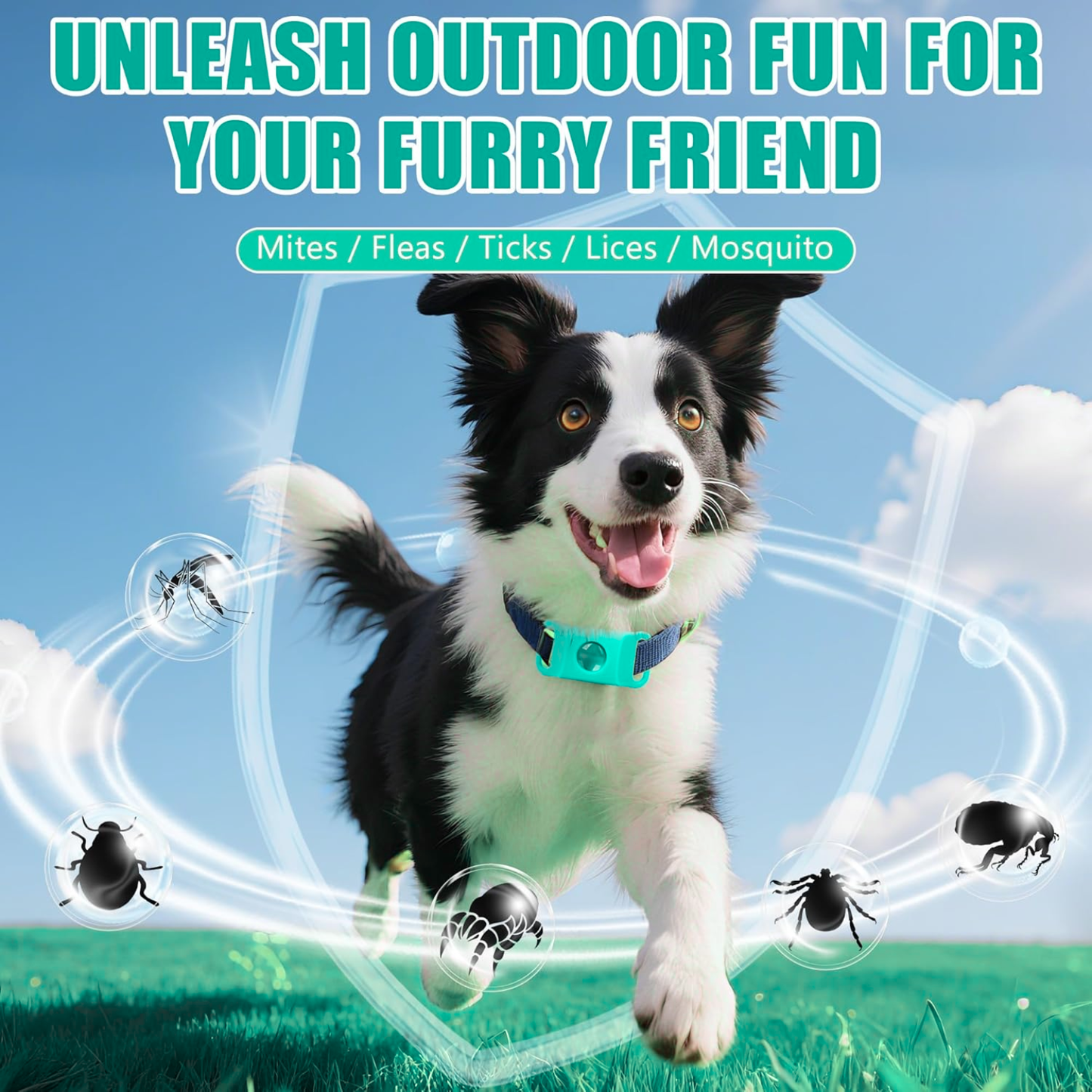 SafePaws™ Natural 12-Month Flea & Tick Protection Pendant