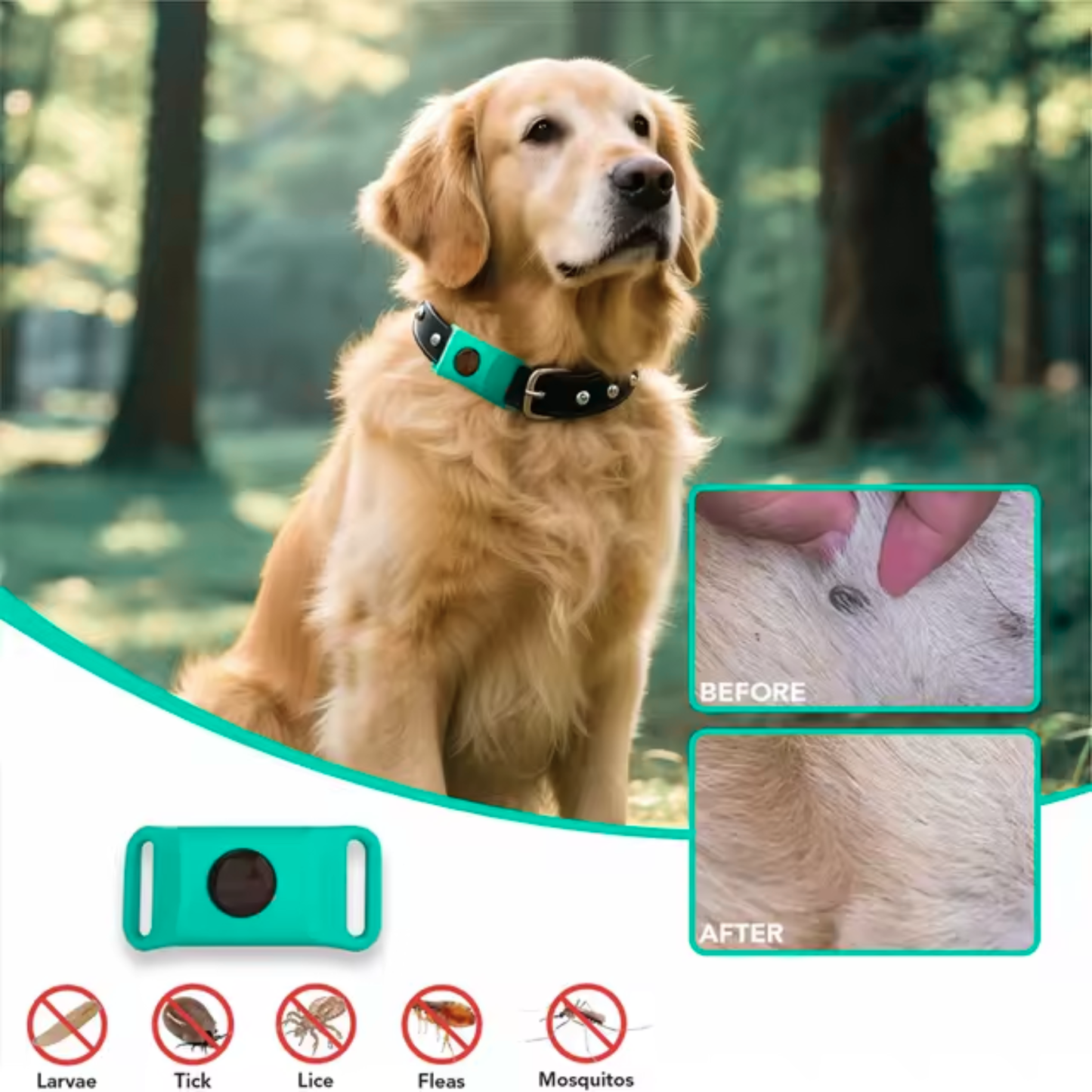 SafePaws™ Natural 12-Month Flea & Tick Protection Pendant