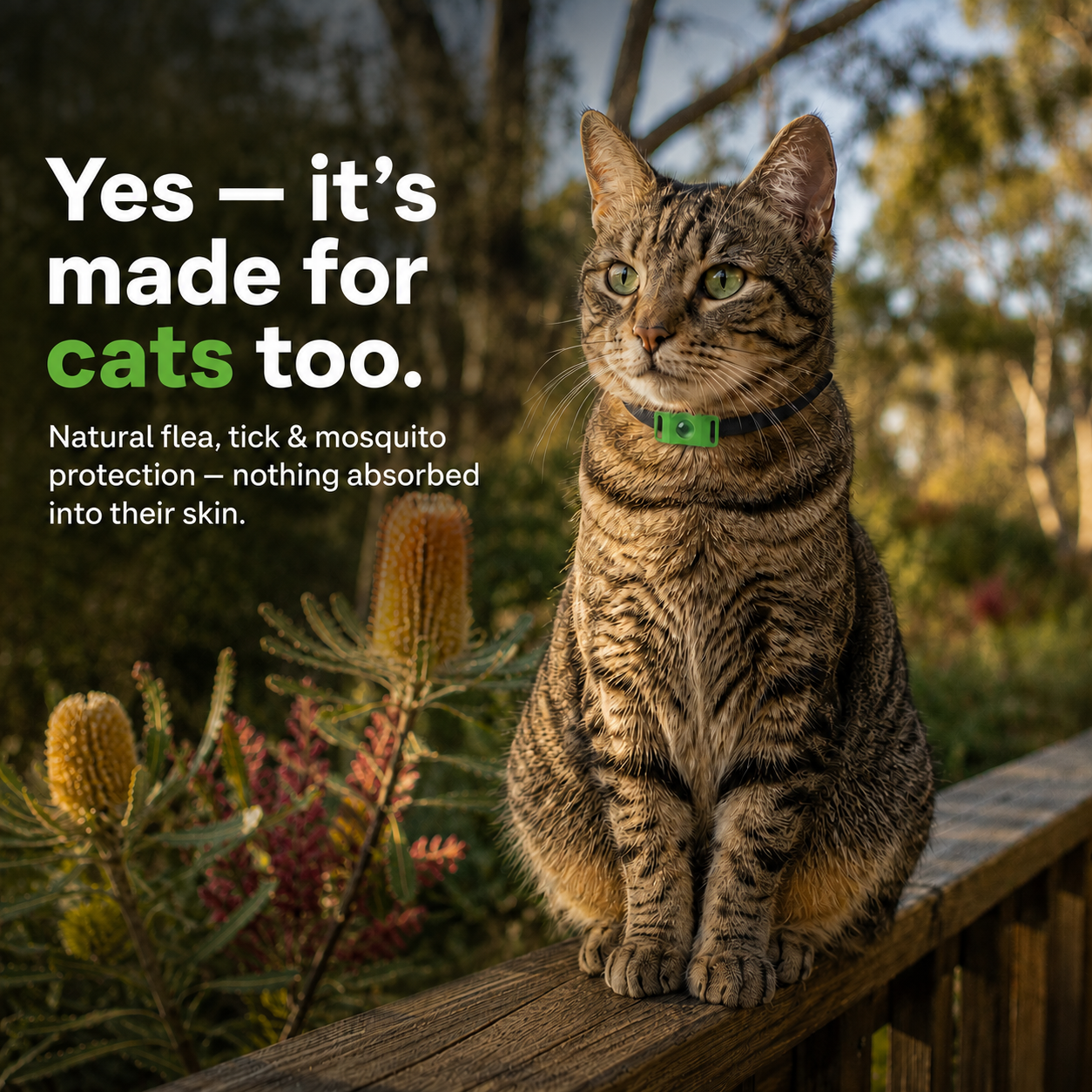 SafePaws™ – Ciondolo Naturale Antipulci e Zecche | 12 Mesi di Protezione per Cani e Gatti