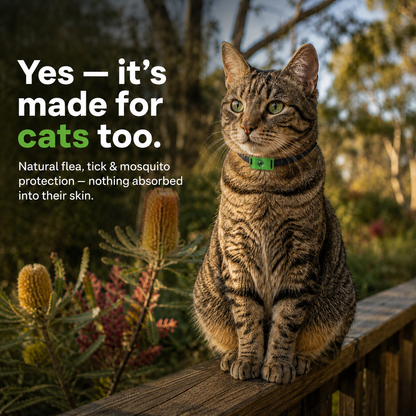 SafePaws™ – Ciondolo Naturale Antipulci e Zecche | 12 Mesi di Protezione per Cani e Gatti