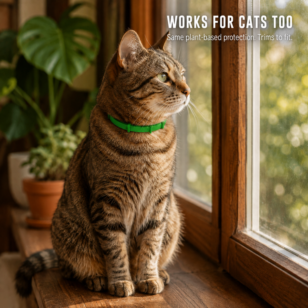 SafePaws™ Flea & Tick Collar — 8 months