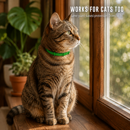 SafePaws™ Flea & Tick Collar — 8 months
