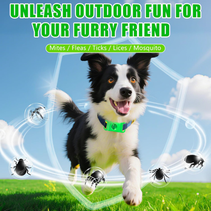 SafePaws™ Flea & Tick Protection Pendant