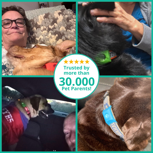 SafePaws™ Natural 12-Month Flea & Tick Protection Pendant